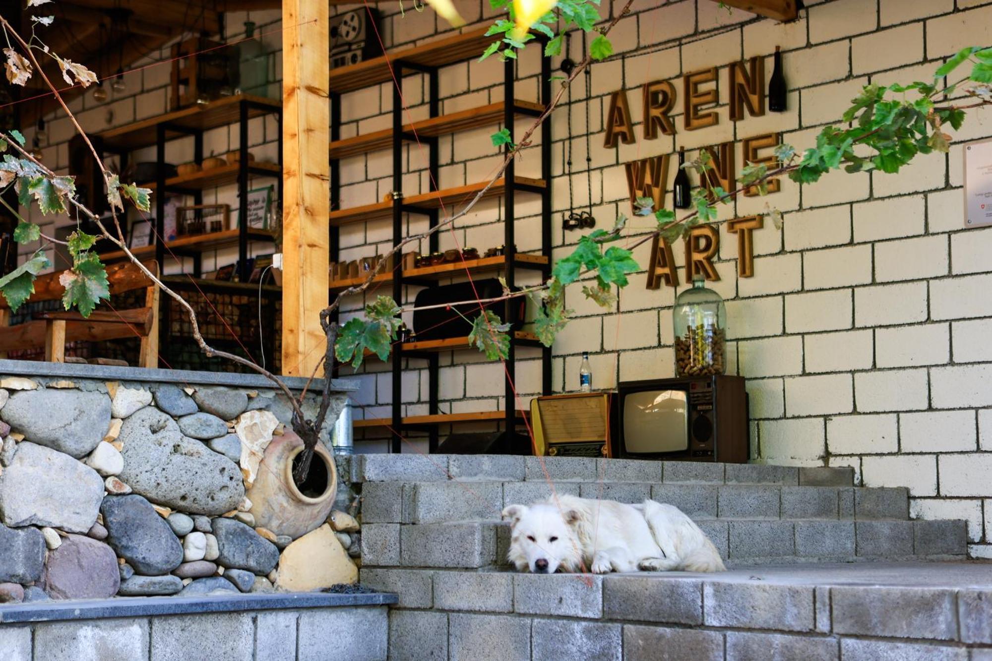 阿雷尼葡萄酒艺术住宿加早餐旅馆 Areni 外观 照片